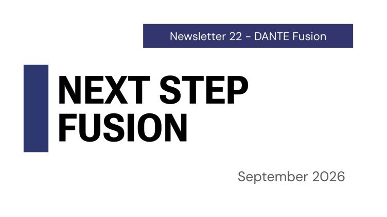 DANTE Fusion Design Point